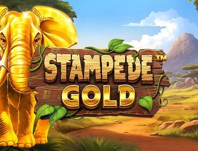 Stampede Gold