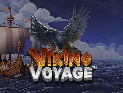 Viking Voyage