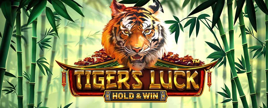 The Tigers Luck online slot game at Joe Fortune gives players plenty of chances to see whether the tiger can bring them good and plentiful fortune as ancient legends say.