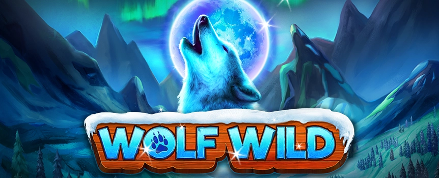 Join the hunt on Wolf Wild and earn big bucks. The slot theme, feature, and design provide an immersive experience for all types of players.  