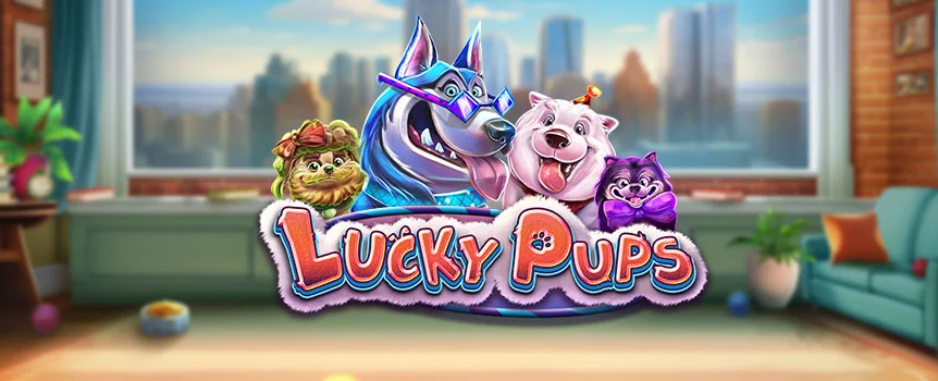 Find your happy place with Lucky Pups at Joe Fortune! A playful pokie packed with pup-inspired perks, jackpots, and good vibes.