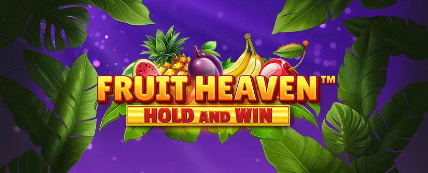 Discover the sweetness of Fruit Heaven Hold and Win at Joe Fortune! Spin for Stacked Wilds, Free Spins, Hold and Win Bonuses and so much more!