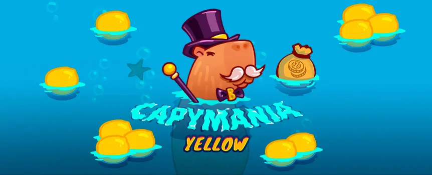 Play the fantastic Capymania Yellow online scratchcard today at Joe Fortune and see if you can win the game’s gigantic top prize of 100,000x your bet!