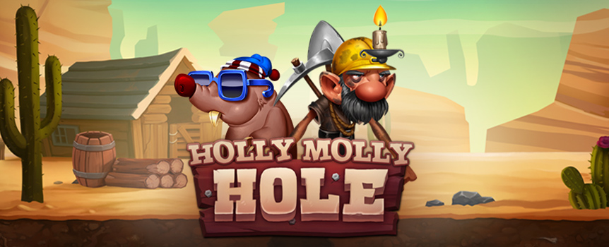 Holly Molly Hole is an Exciting Mine Pokie where you can find 3,125 Ways to Win Prizes up to 1,000x your stake! Play today.