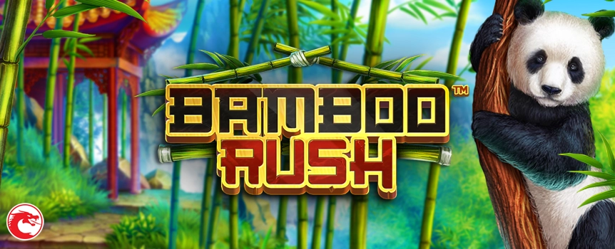 Step into a secret garden with Bamboo Rush at Joe Fortune, where every spin can multiply your winnings up to 53,000x!
