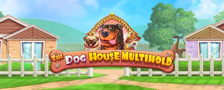 Every dog has its day, and this could be your day with The Dog House Megaways slot on Joe Fortune. Enjoy an astounding 117,649 ways to win, plus Sticky and Raining Wilds.